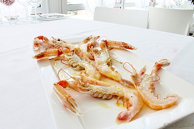 RIstorante a Riccione - Patty - crostacei al vapore